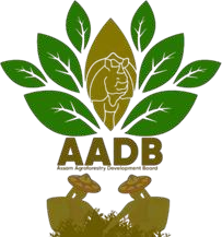 Assam Agroforestry Development Board