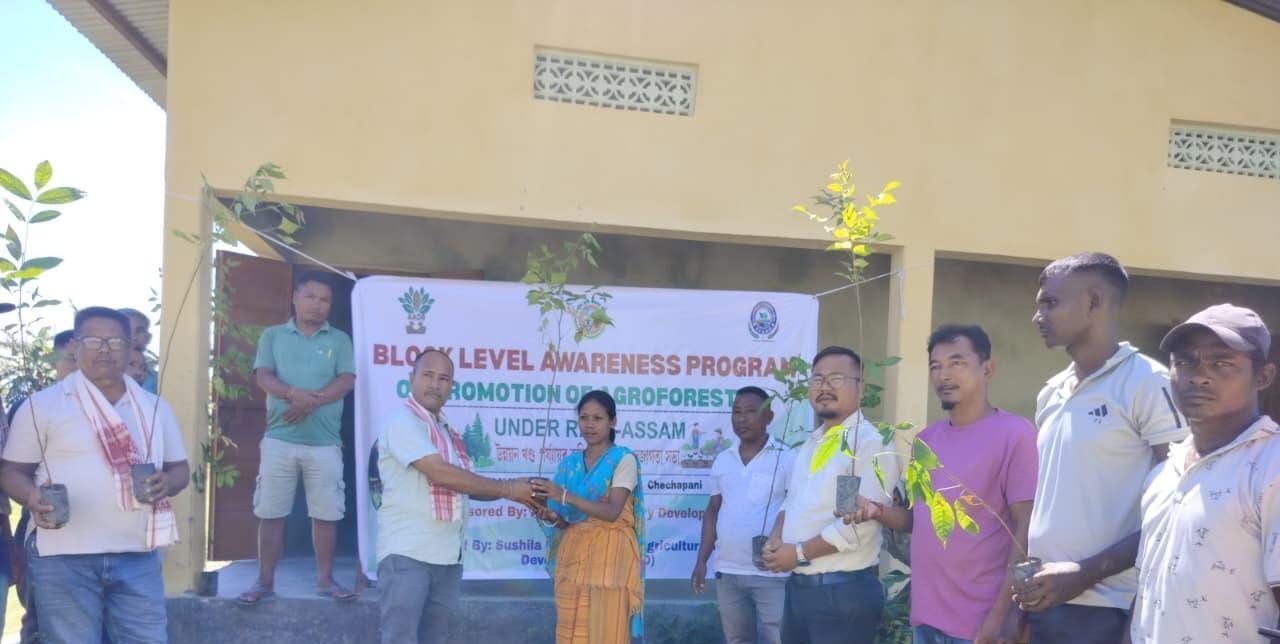 Agroforestry Promotion photo 1
