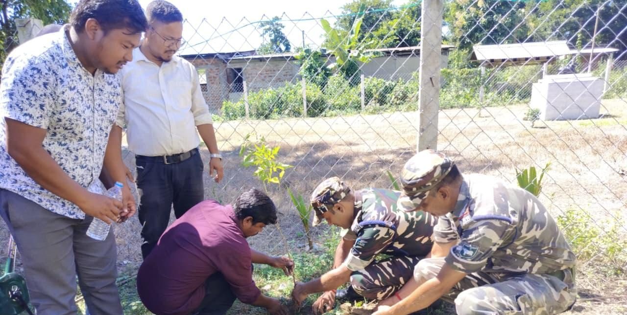 Agroforestry Promotion photo 2