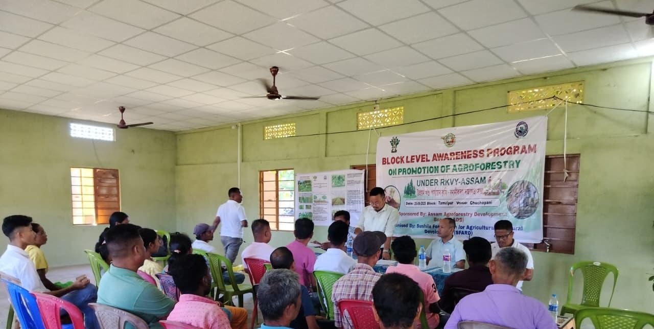 Agroforestry Promotion photo 3