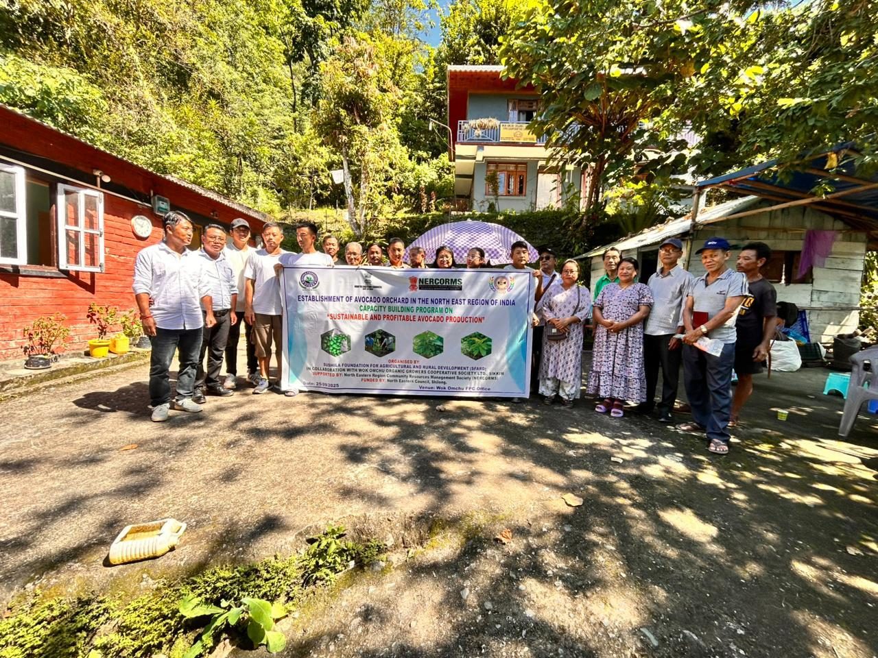 Avocado Orchard, Sikkim