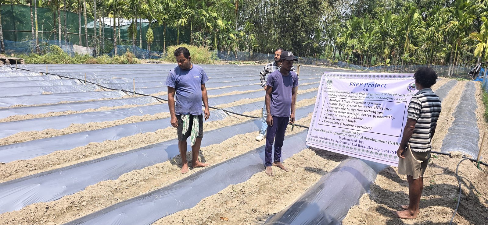 Drip Irrigation & Digital Farming photo 3