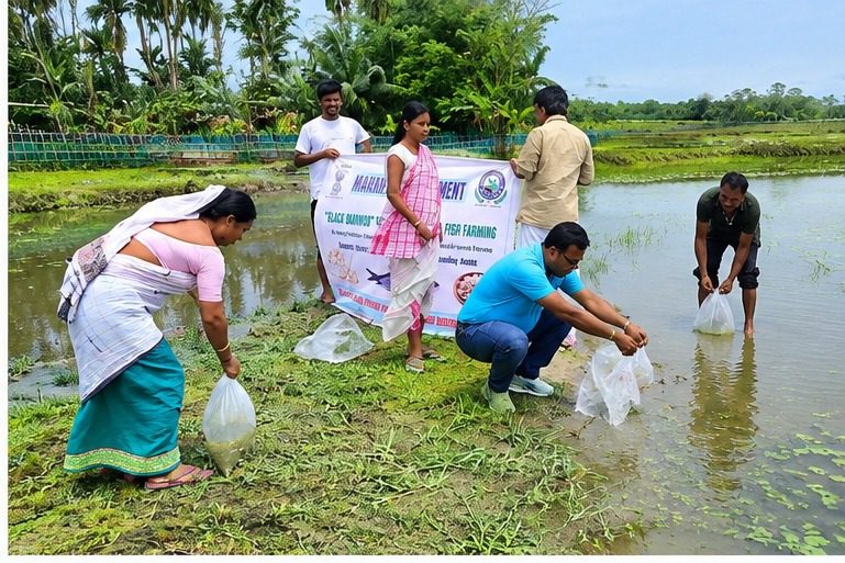 Agri & Allied Activities