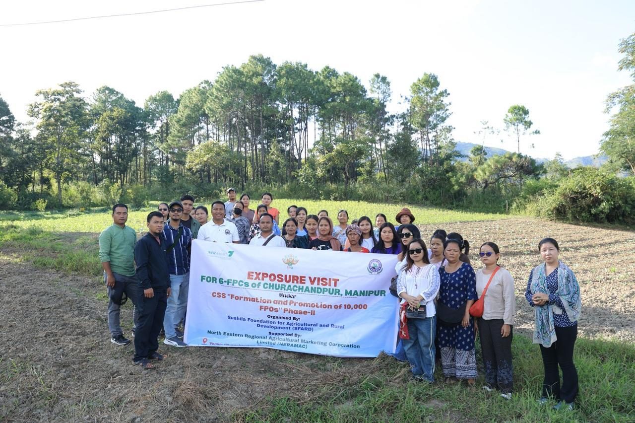 Employment-linked Skill Development photo 1